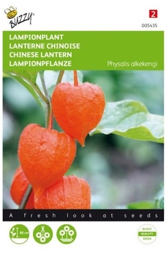 Physalis franchetti gigantea machovka, lampionovník, cca 0,25 g